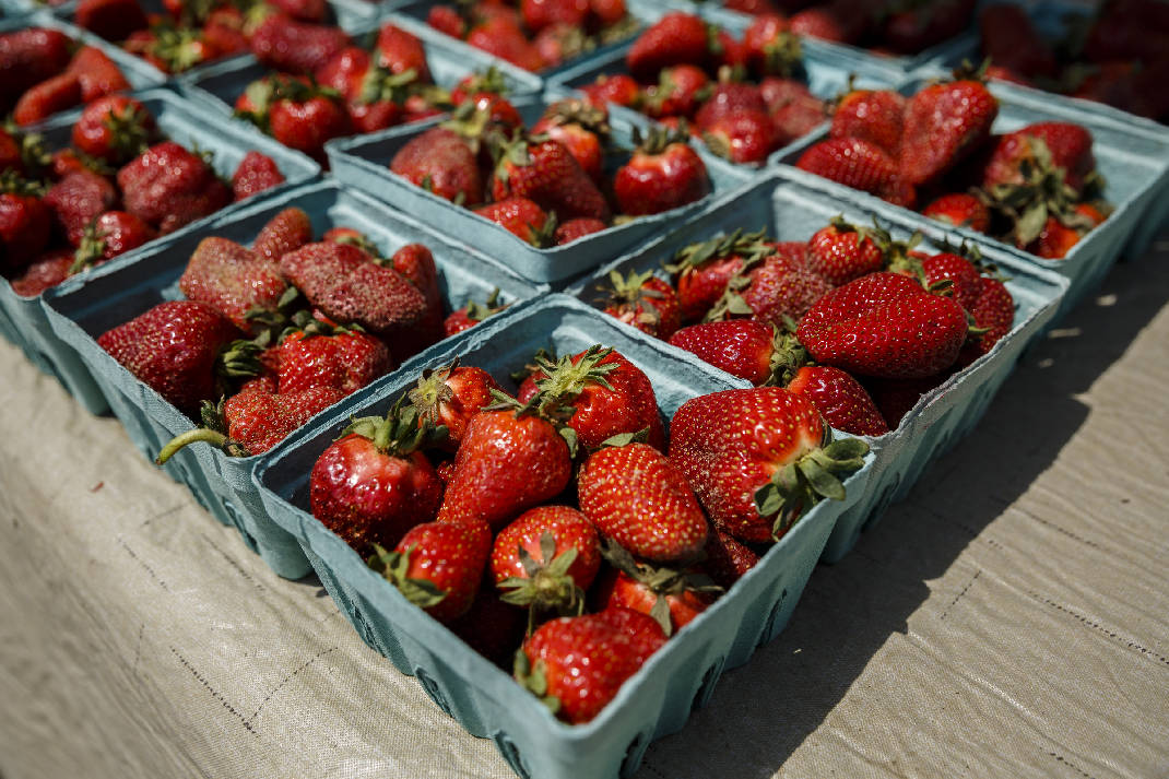 side orders fresh fruits burst with flavors