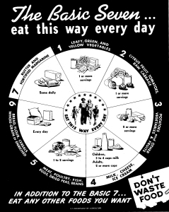 The first food Pyramid, created by Sweden in 1974. The concept would soon be adopted by America in 1992.